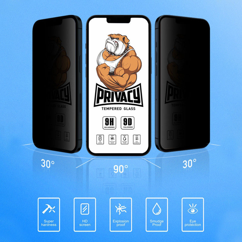 9H Phone Tempered Glass Privacy Anti Shock Anti Explosion